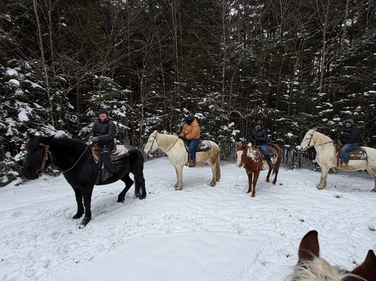 New & Gauley River Adventures-Lansing必去景点