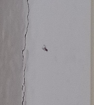 Seehotel Schorfheide主图