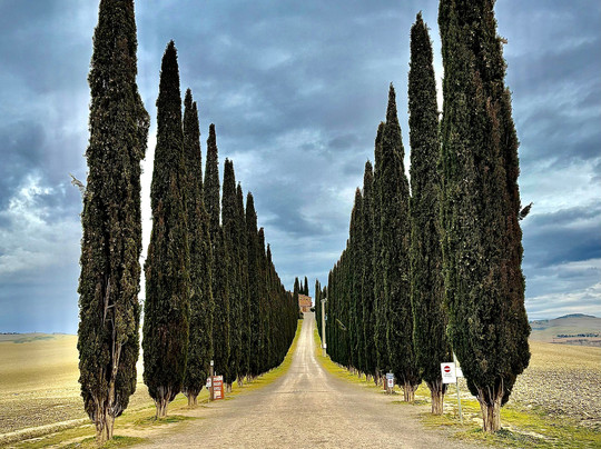 Tuscan Experiences-Castiglione D'Orcia必去景点