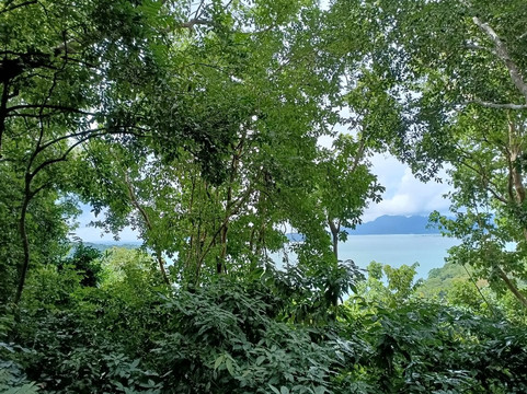 安邦泳池别墅主图