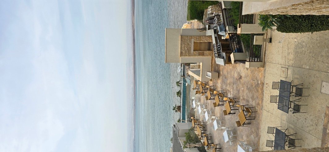 Hilton Dead Sea Resort & Spa-官方