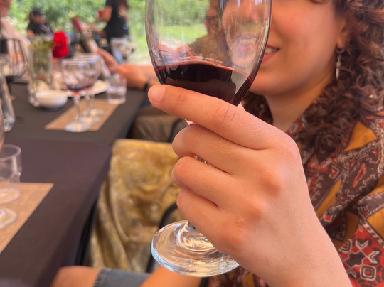 Viña Ballek-Isla de Maipo必去景点