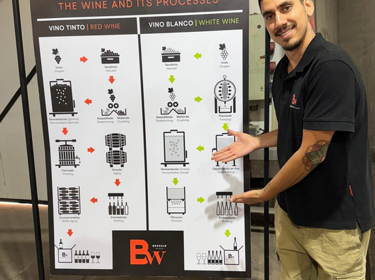 Besoain Wines-Pirque必去景点