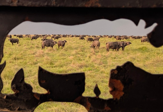 Wild Plus Escapades-马林地必去景点