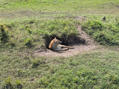 Wild Plus Escapades-马林地必去景点