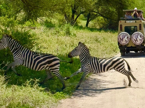 African Skies Tanzania-阿鲁沙必去景点