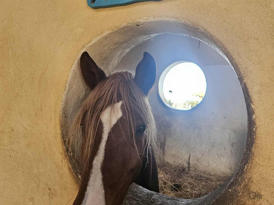 Equestrian Dream Egypt-赫尔格达必去景点