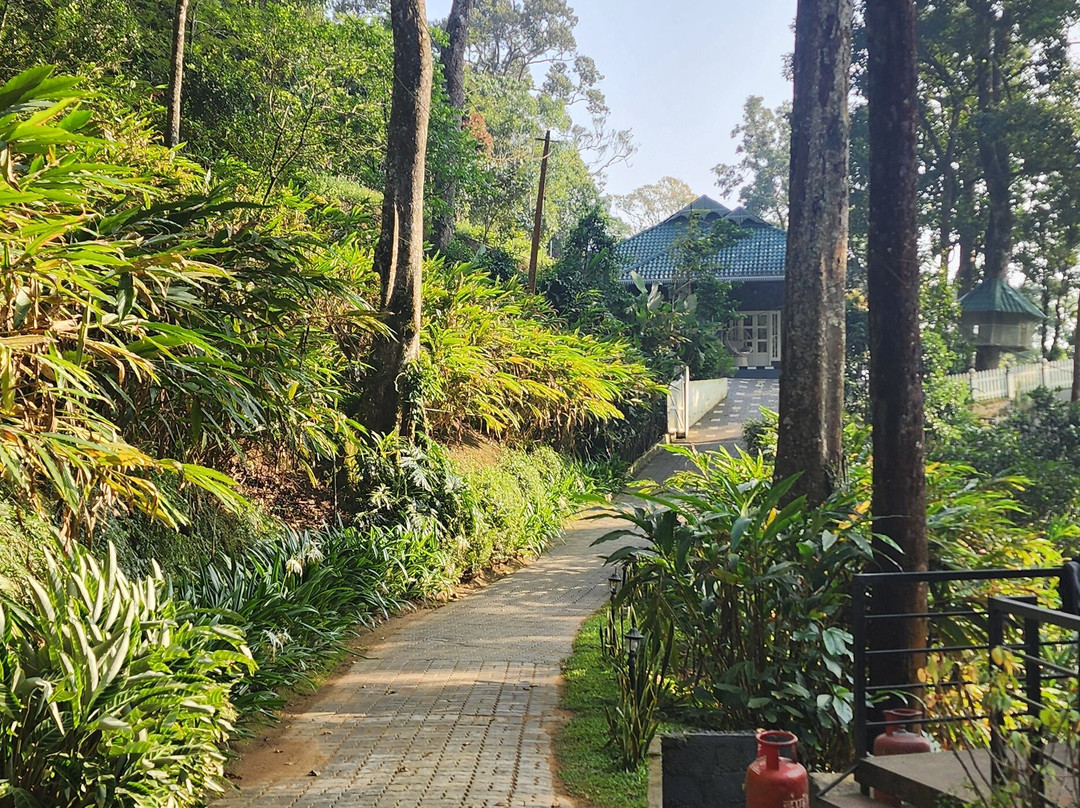 31st December Farms & Estates Munnar主图