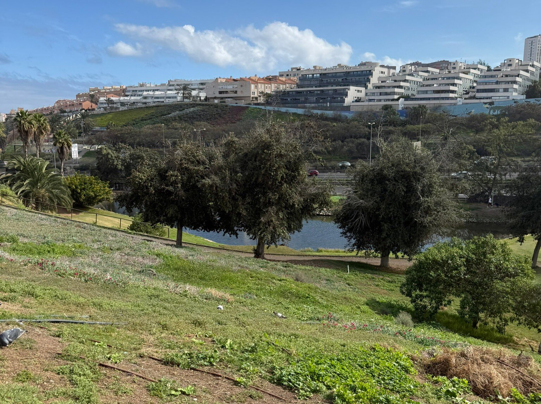 Las Palmeras Golf Club-大加那利岛拉斯帕尔马斯必去景点