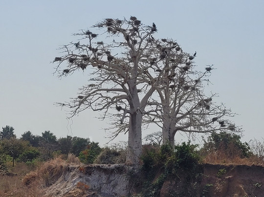 Evergreen Eco Retreat主图