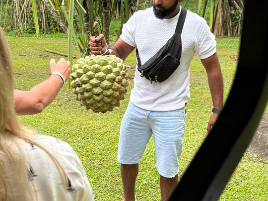 Rangi Tours-瓦都瓦必去景点