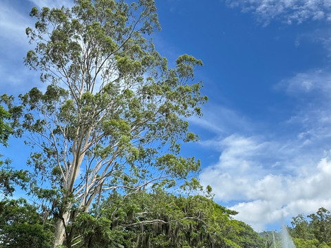 格拉瓦塔尔国际酒店主图