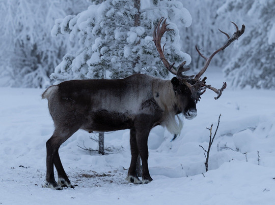 Hotelli Jussan Tupa主图