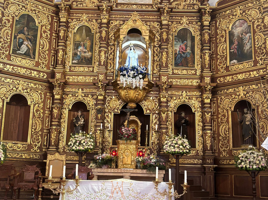 Lawson's Original Yucatan Excursions-Progreso必去景点