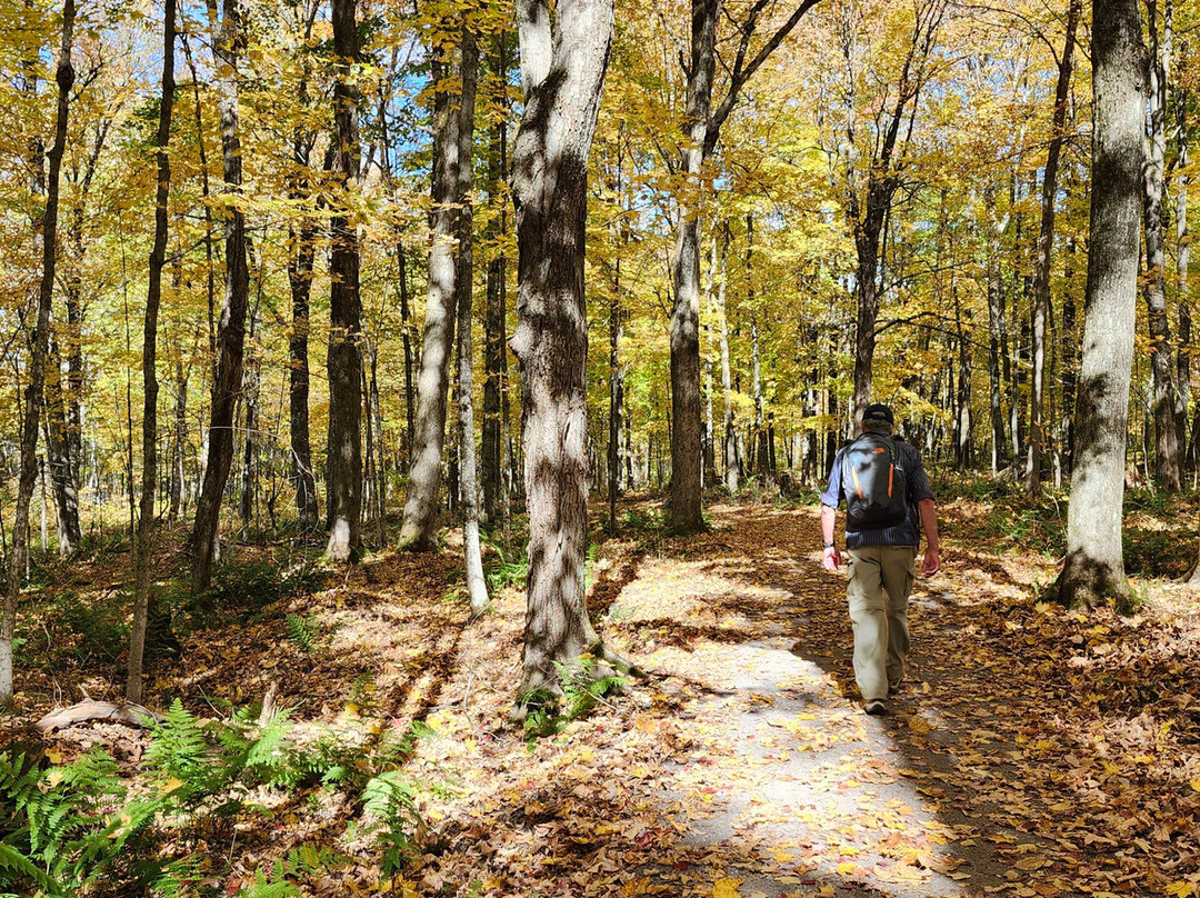Centre de plein air Dansereau