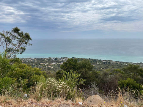 Murrays Lookout-Arthurs Seat必去景点