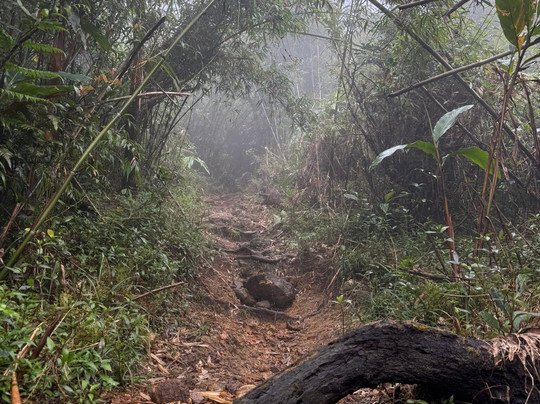 Nipuna Knuckles Trekking-康提必去景点