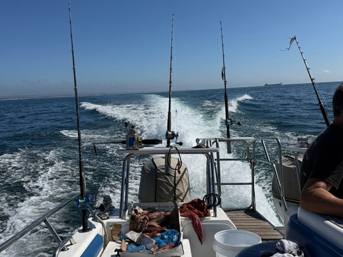 St Francis Safaris-Port St Francis必去景点