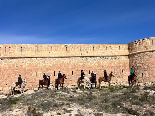 Cabacci Horse Trails-圣何塞必去景点