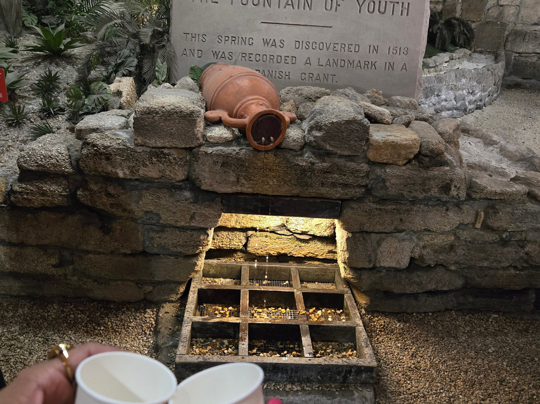 Fountain Of Youth Archaeological Park-圣奥古斯丁必去景点
