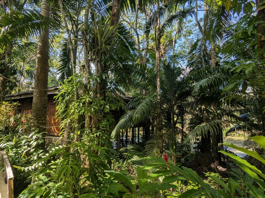 Hacienda Jacana主图