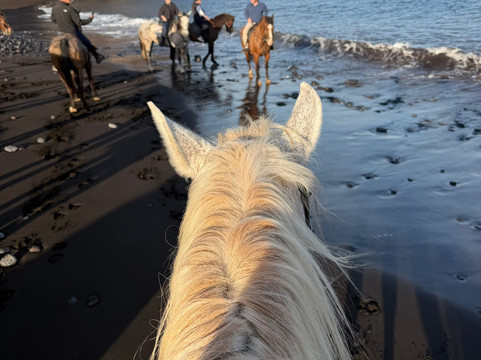 Lanzarote a Caballo-兰萨罗特必去景点
