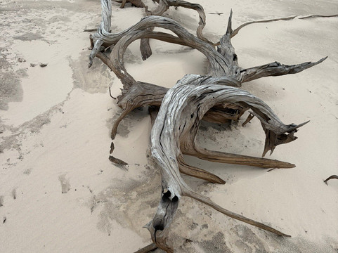 Trek In Duna-Santo Amaro do Maranhao必去景点