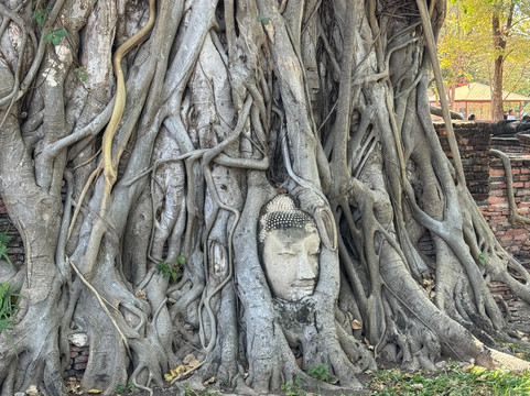 Mundo Nomada Travel-曼谷必去景点