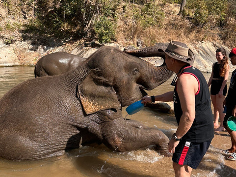 Pon Elephant Thailand-清迈必去景点