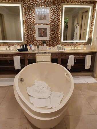 棕榈岛亚特兰蒂斯酒店主图