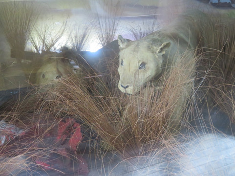 Guyana National Museum-乔治城必去景点