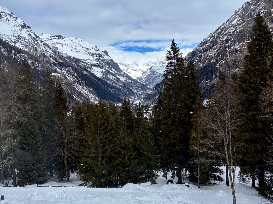 Giardino Botanico Di Castel Savoia-Gressoney Saint Jean必去景点