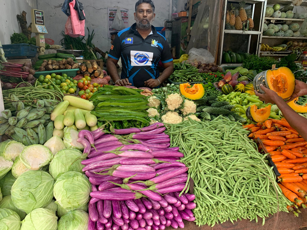 康迪安庄园酒店主图