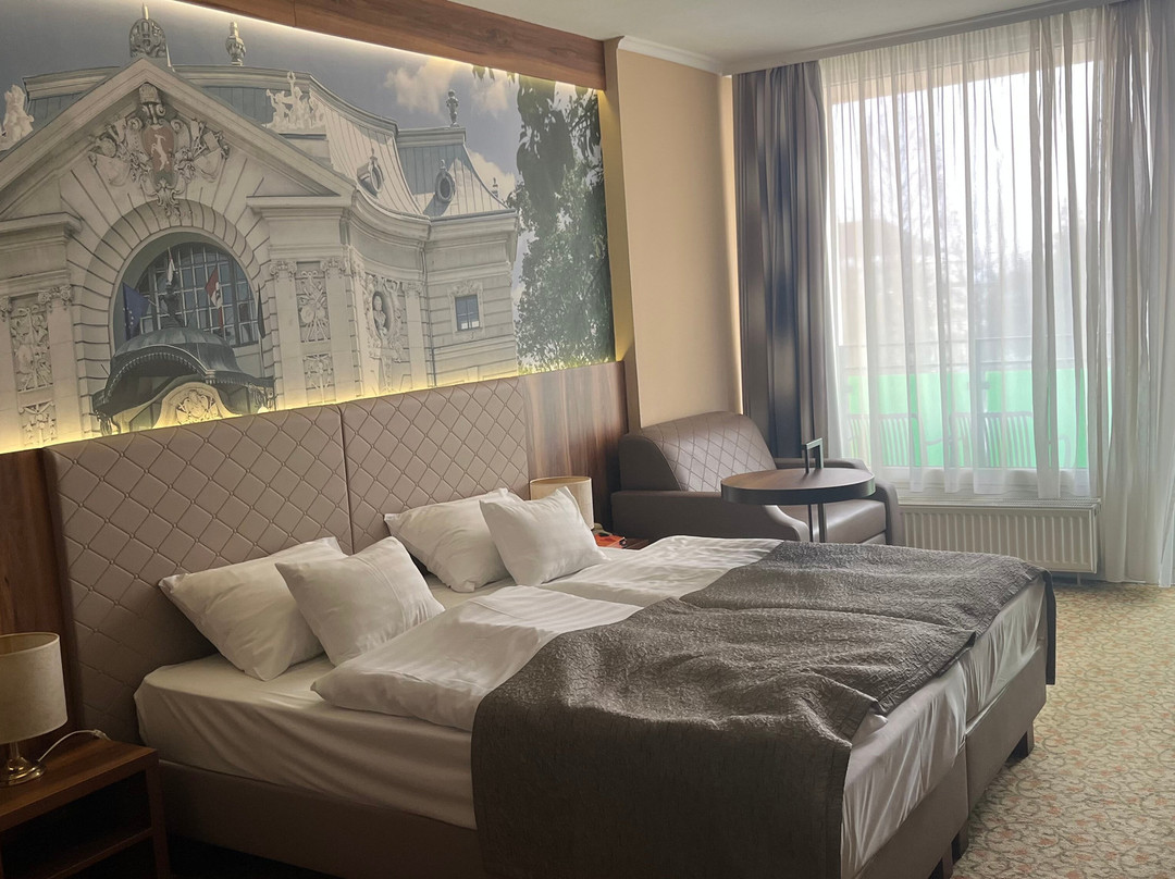 Aranyhomok商务与休闲酒店主图