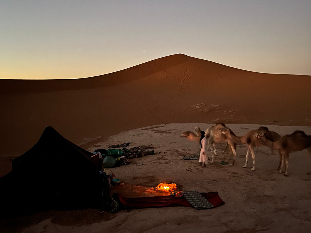 Sahara mystery-迈哈米德必去景点