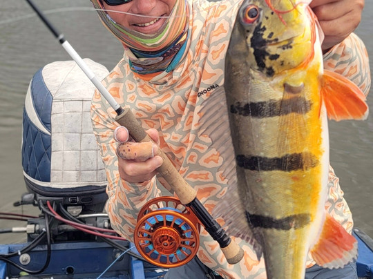 Nomadic Waters Brazil-玛瑙斯必去景点