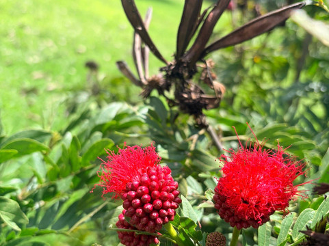 Eco Parque Conscientia Universallis-莱瓦镇必去景点