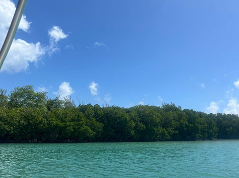 Blue Vibes-开普马欧呵必去景点