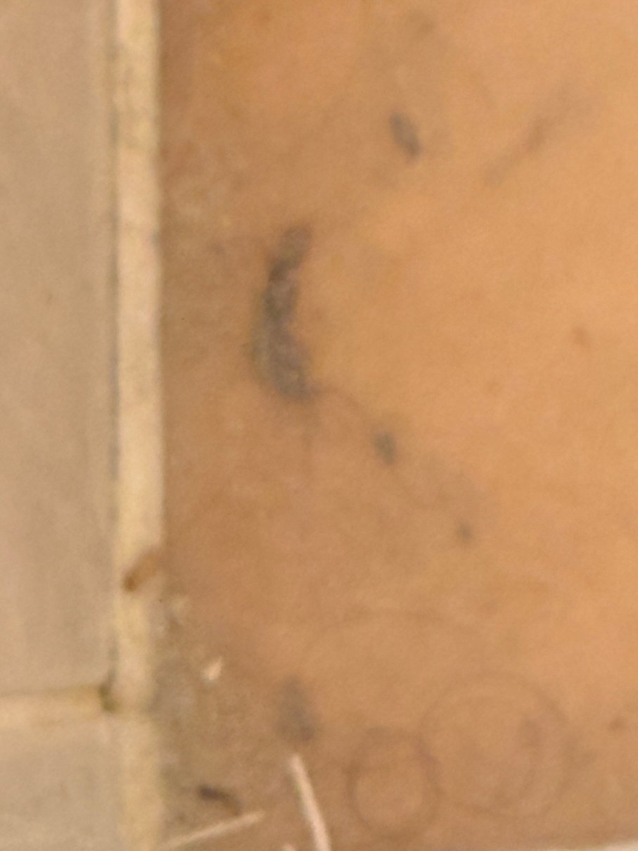 西公园旅馆-官方