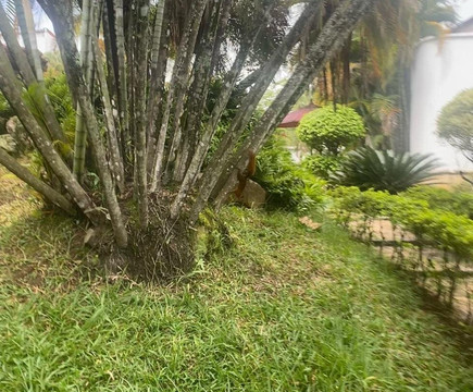 Boutique Villa Casuarinas酒店主图