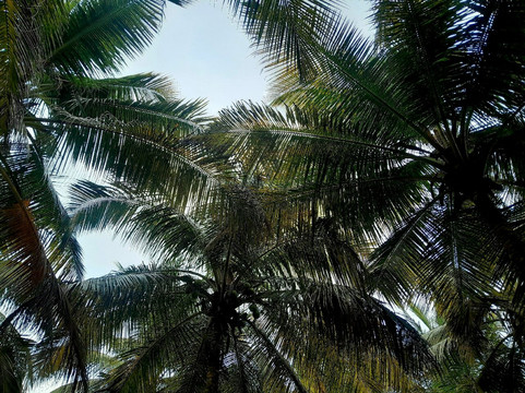 Silent Beach-唐卡拉必去景点