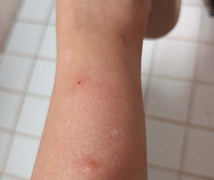 Maresias Beach-Maresias必去景点