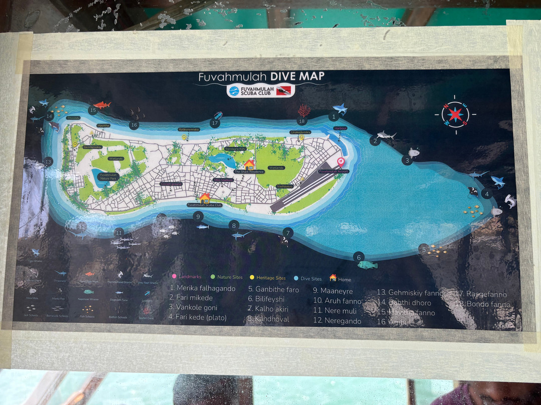 Fuvahmulah Scuba Club主图