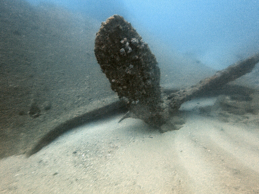 International Diving School-希克杜沃必去景点
