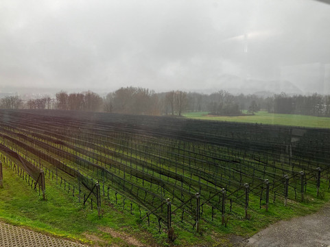 Agriloro-Genestrerio必去景点