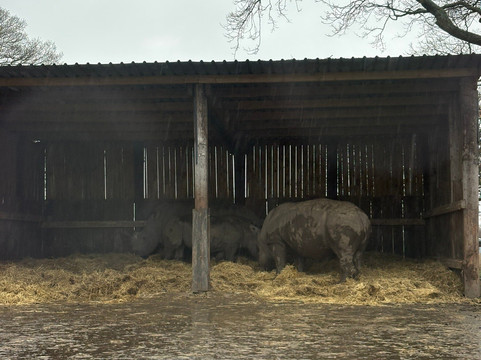 Knowsley Safari-Prescot必去景点
