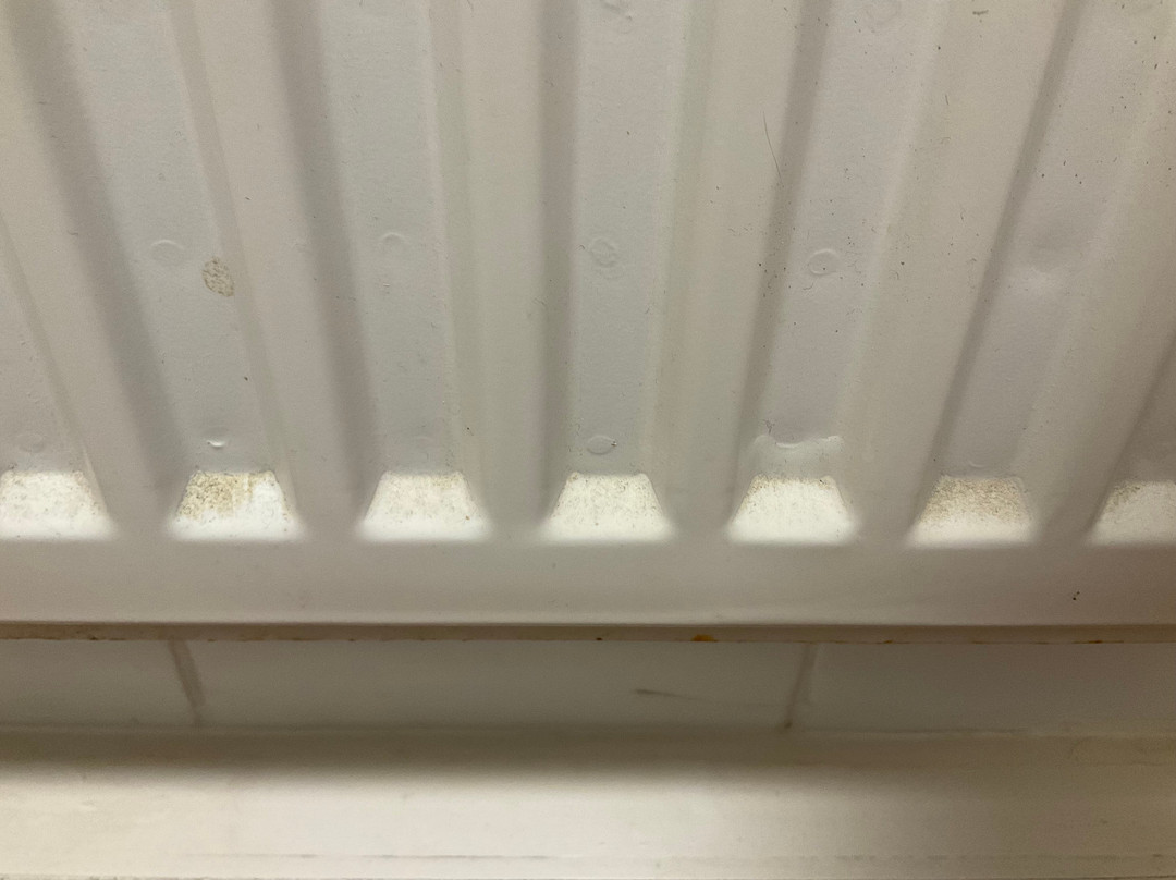 舒兰德酒店主图