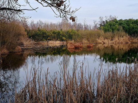 Bosco Wwf di Vanzago-Vanzago必去景点