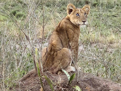 Katona Tours and Travel-吉佳利必去景点