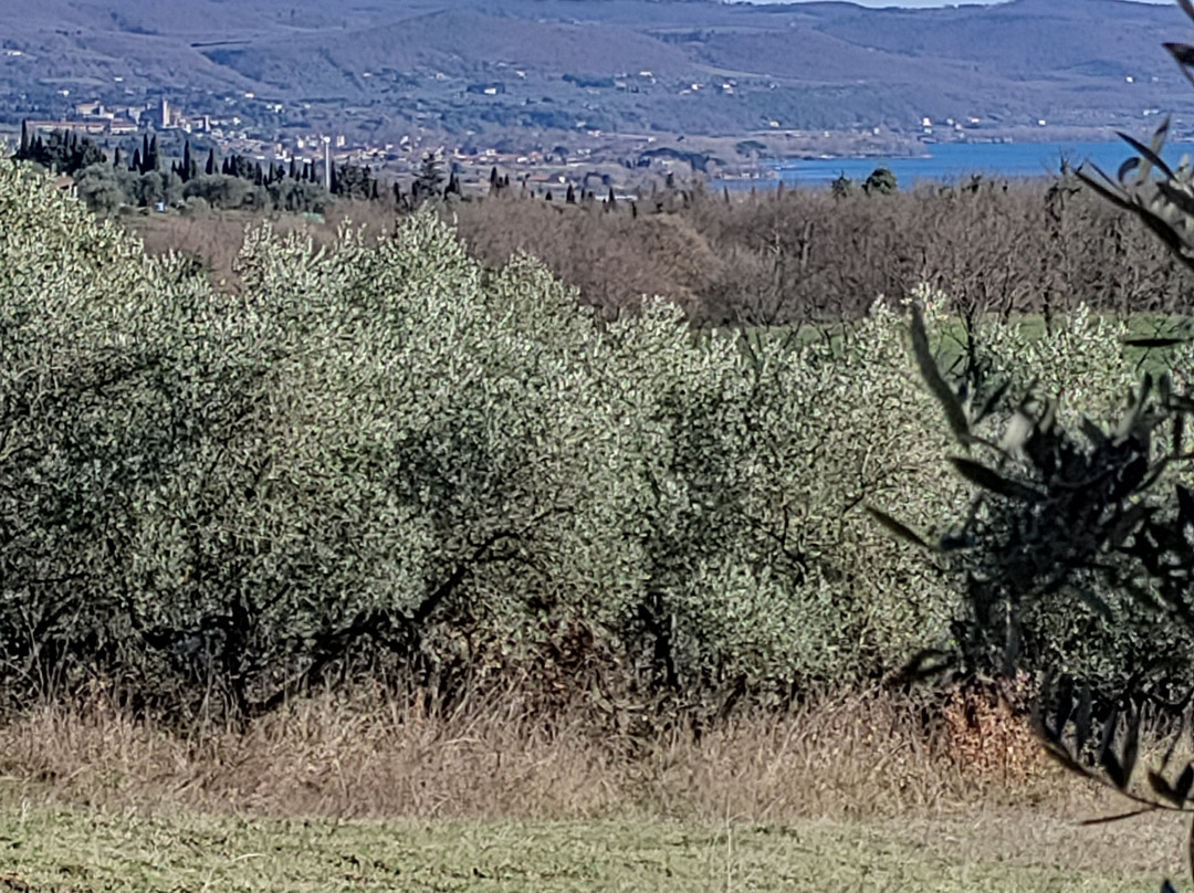 Via Francigena Tappa 37 Acquapendente - Bolsena-Acquapendente必去景点